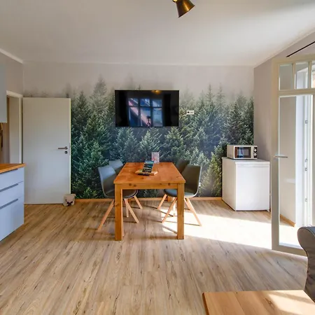 Apartment Auszeit-im-harz Haus 1 Wurmberg *