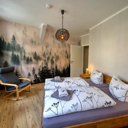 Appartement Auszeit-im-harz Haus 1 Wurmberg *