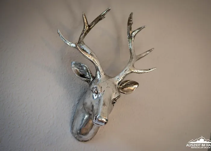 Auszeit-im-harz Haus 1 Wurmberg Lägenhet *